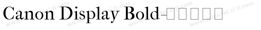 Canon Display Bold字体转换